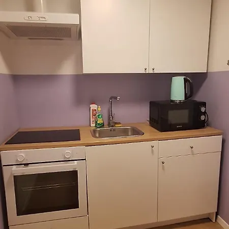 Asja Old Center Apartment Pula