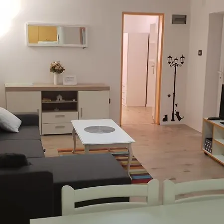 Apartment Asja Old Center